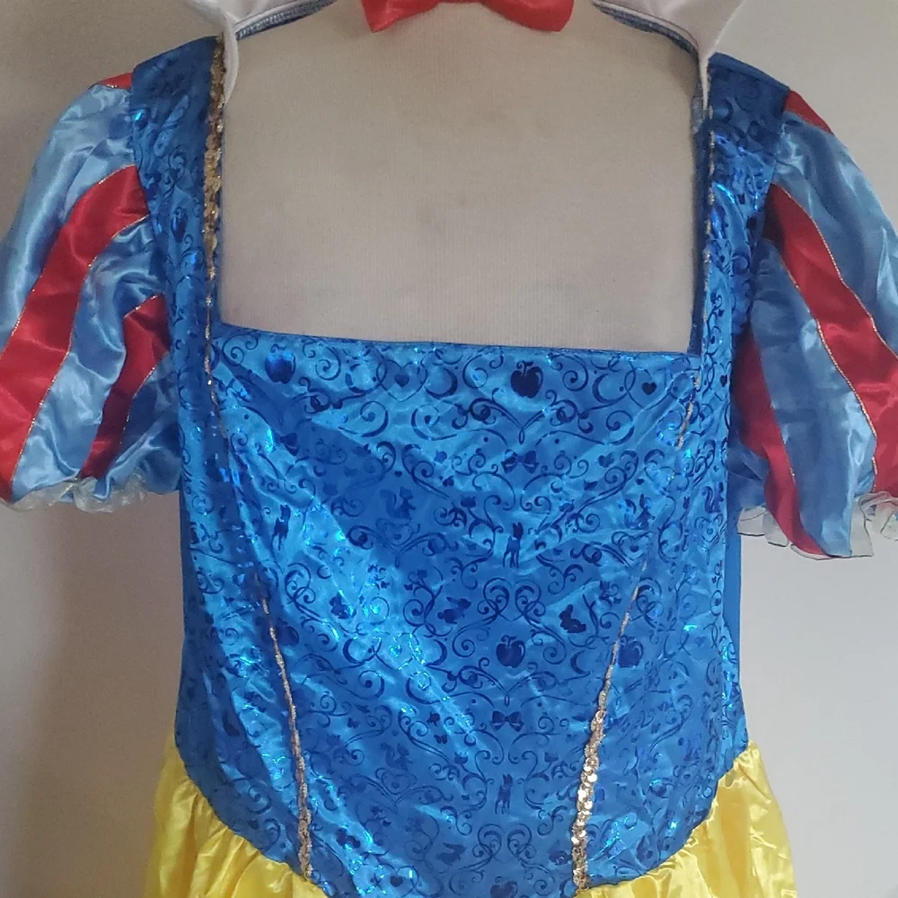 Disney Princess Costume with Blue and Yellow Dress - Picture 3 of 11